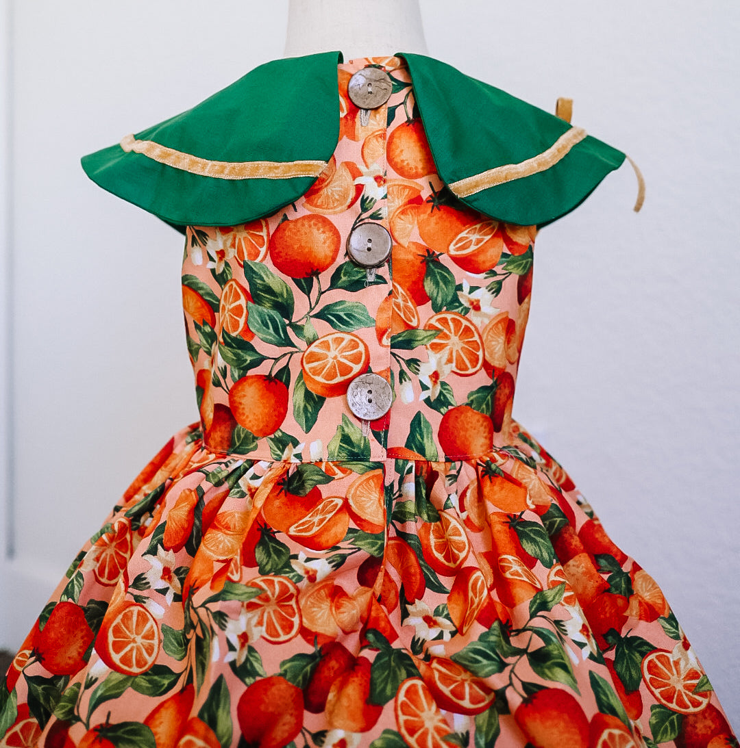 The Clementine Dress (RTS size 7)