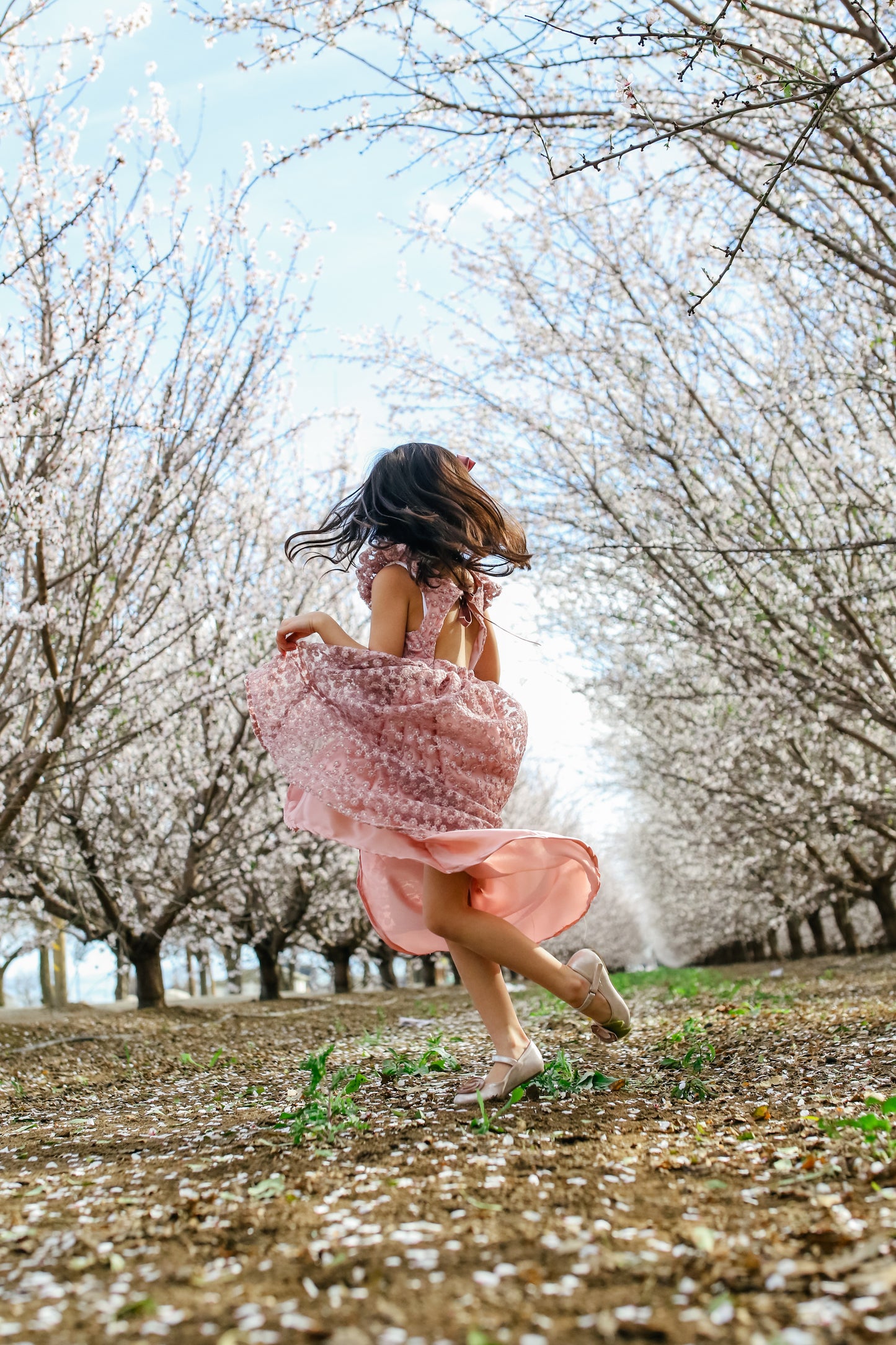 The Fleur de Reverie Dress