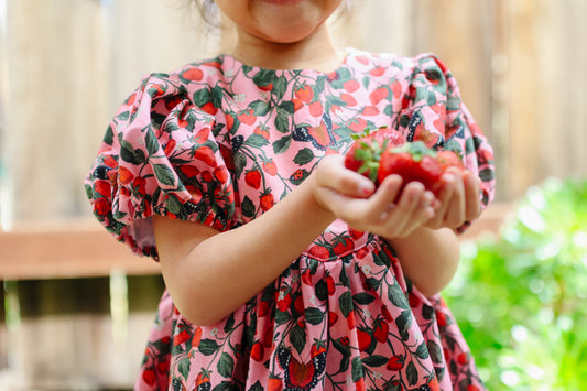 The Olivia Dress- Strawberries and Butterflies